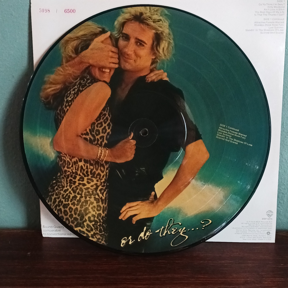 Vintage 70s Rod Stewart Picture Disc Vinyl Album Numbered Blondes Have More Fun